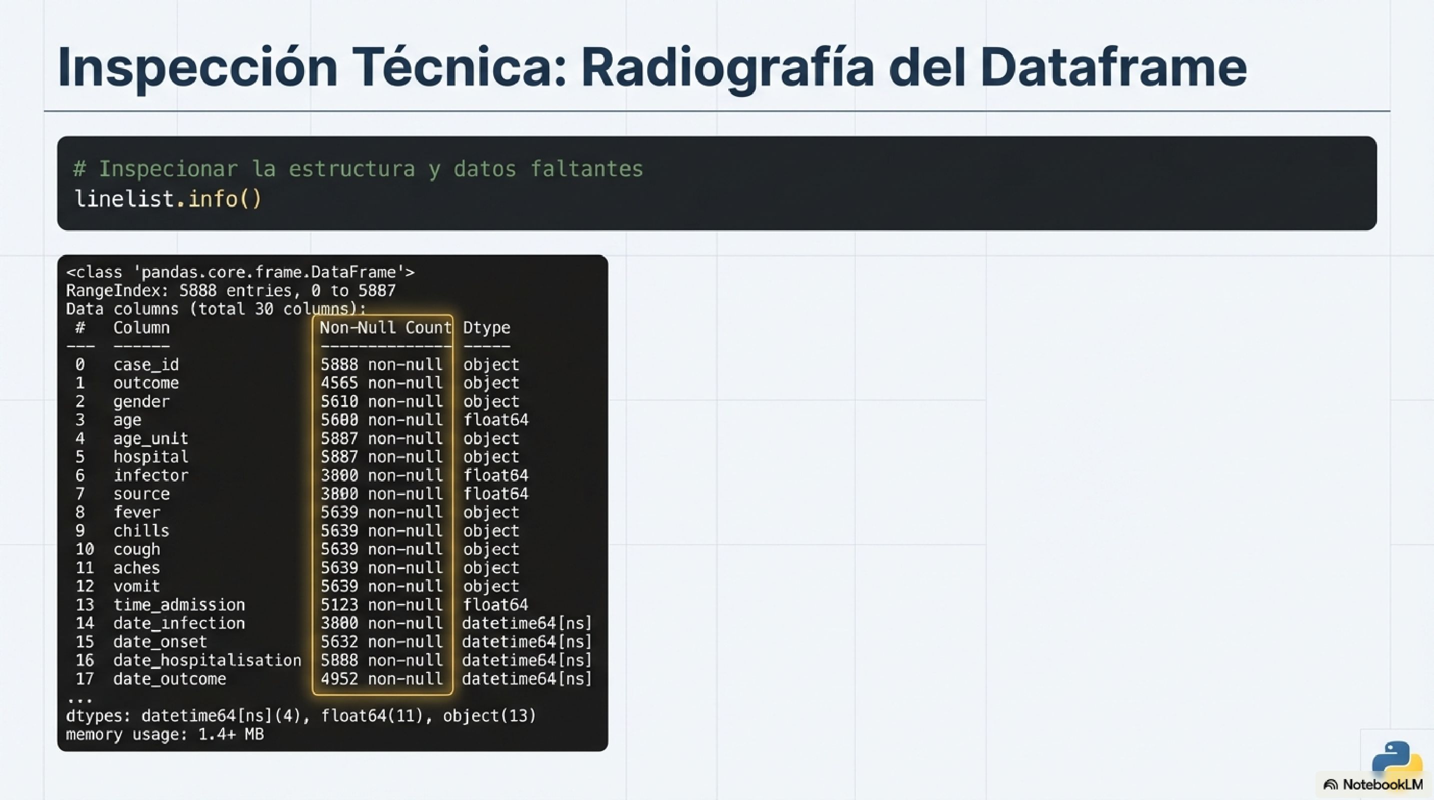 Inspeccion Tecnica: Radiografia del Dataframe