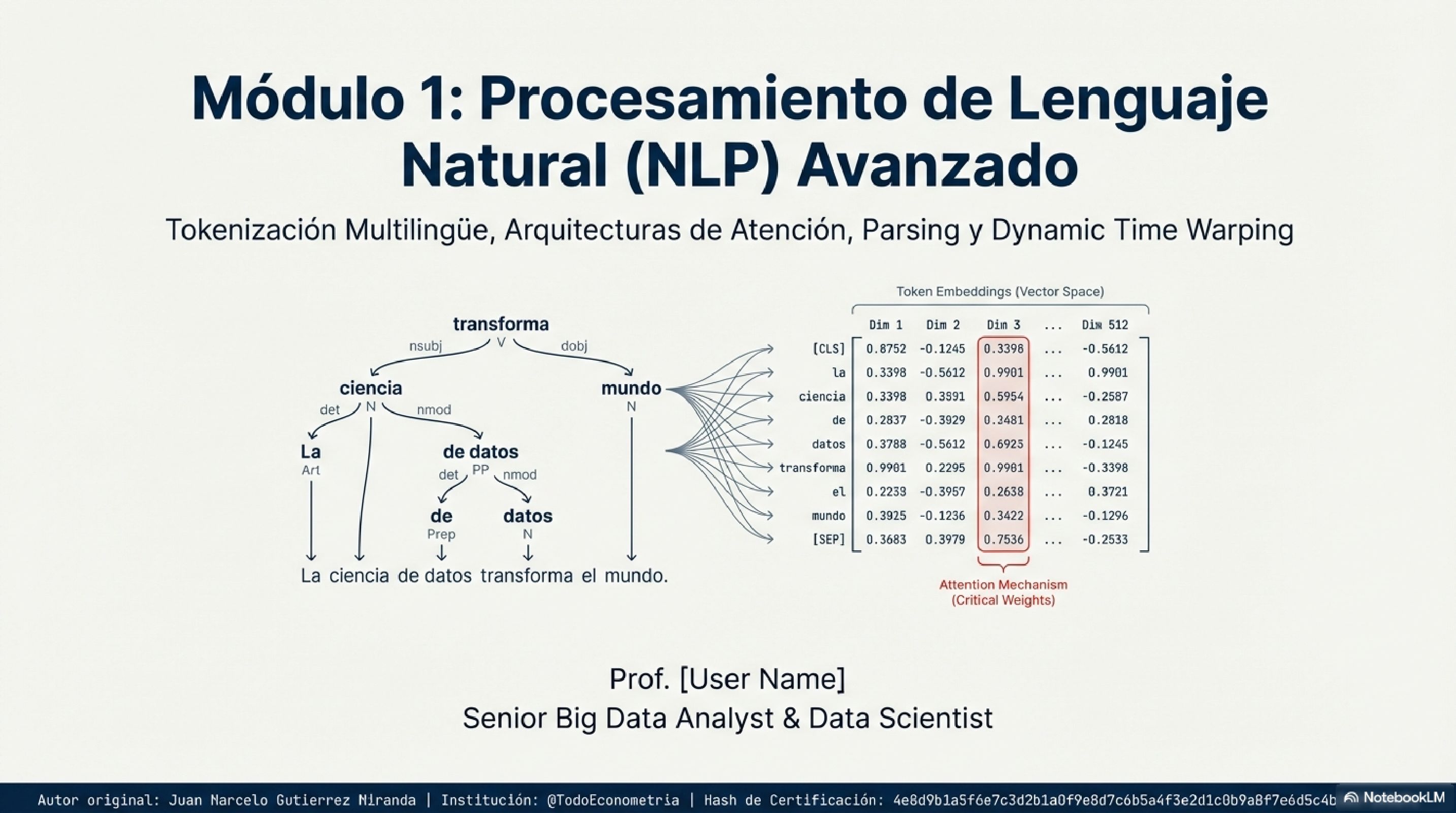 NLP Avanzado: Tokenizacion, Arquitecturas de Atencion, Parsing