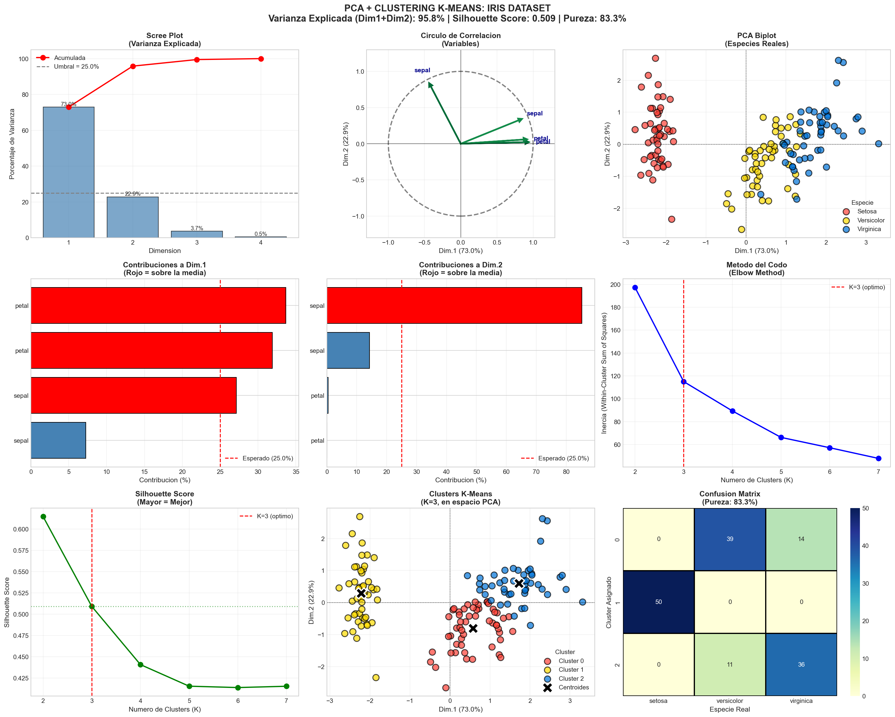 Dashboard Principal PCA + Clustering